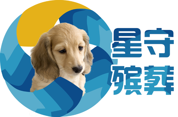 About us 关于我们